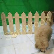 Pagar Anjing Kayu